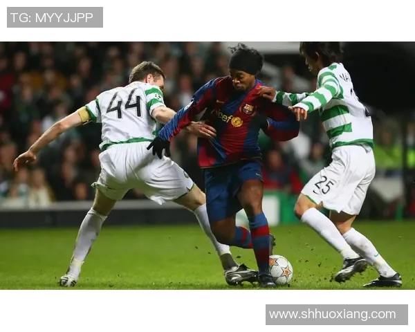 我所了解的足球明星及其辉煌成就与精彩瞬间分享